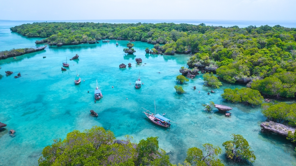 Строительство роскошного курорта в Африке грозит уничтожить уникальный лес Нгези