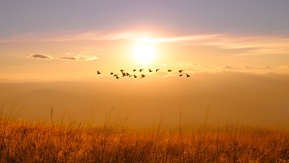 На 2-4°С выше нормы: Россию ждет аномально теплый сентябрь