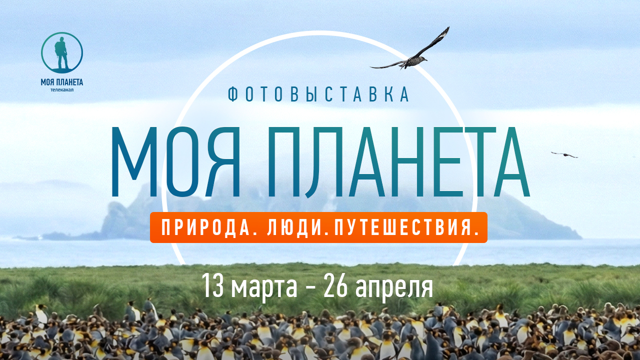  В Казани на фестивале дикой природы «Золотая черепаха» откроется фотовыставка телеканала «Моя Планета»