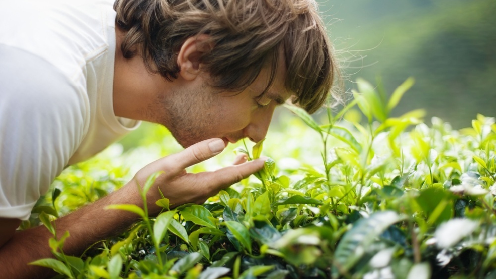 «Дом престарелых» для молодежи открылся в Малайзии