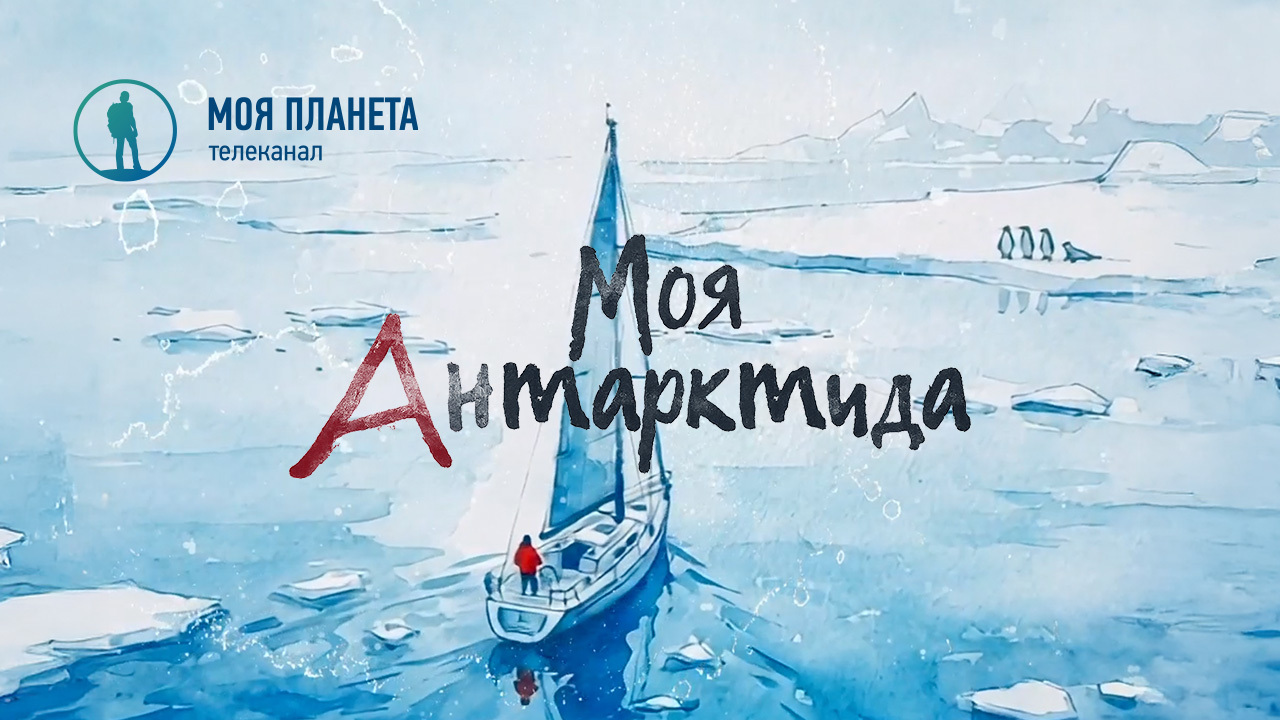 Сквозь штормы пролива Дрейка к ледяному континенту: премьера фильма «Моя Антарктида» на «Моей Планете» 