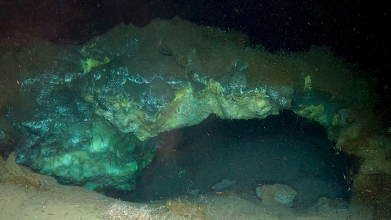 Глубоко у берегов Гренландии обнаружили газовые купола, кишащие жизнью