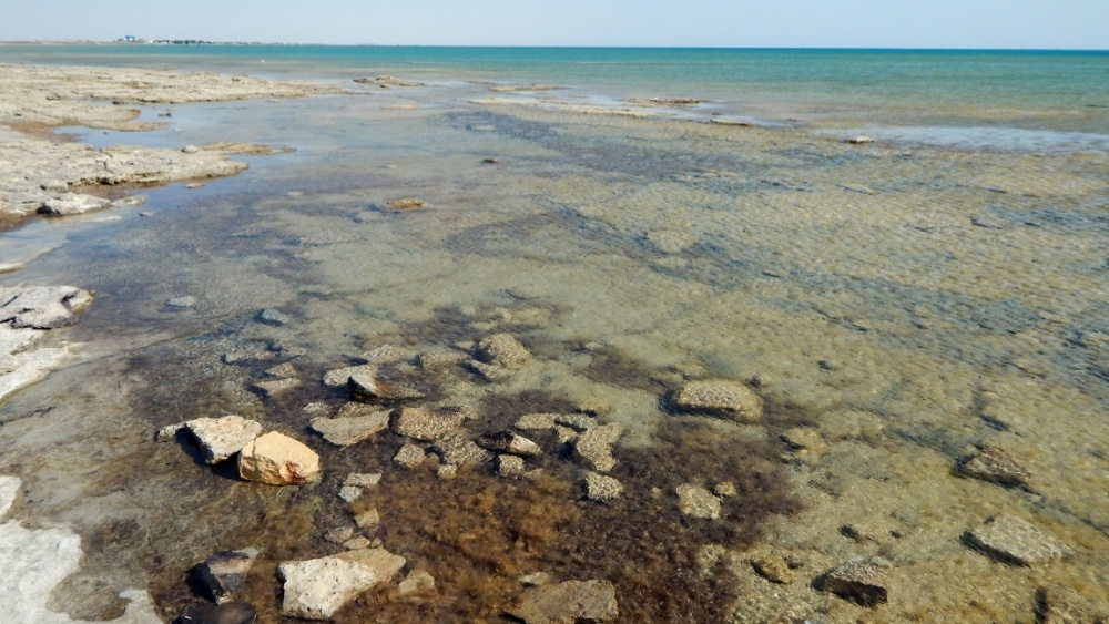 Каспийское море стремительно мелеет — как это остановить