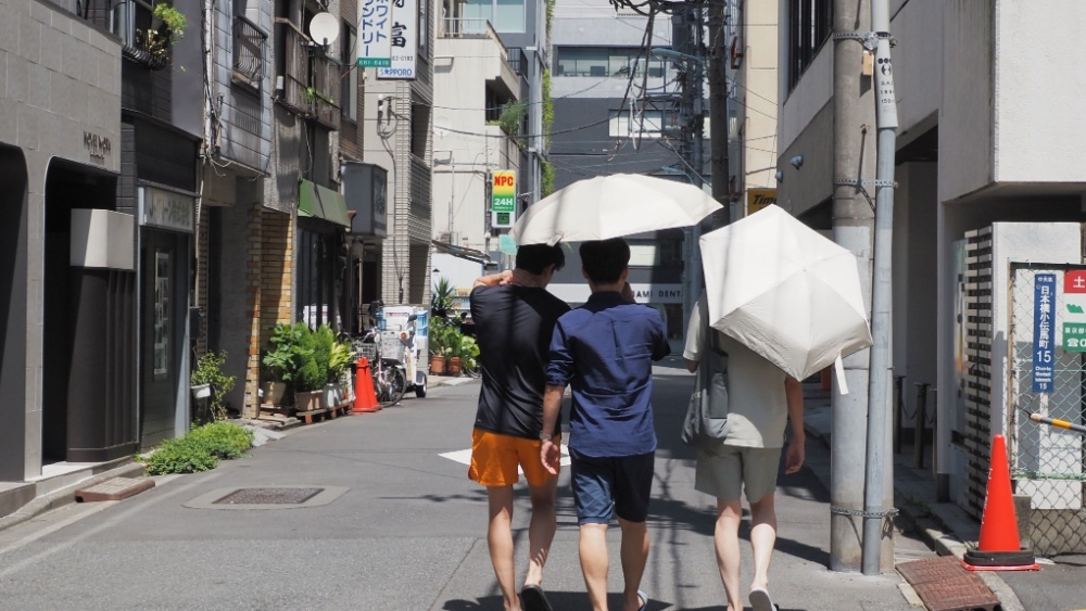В Японии зафиксировали самую высокую температуру за всю историю