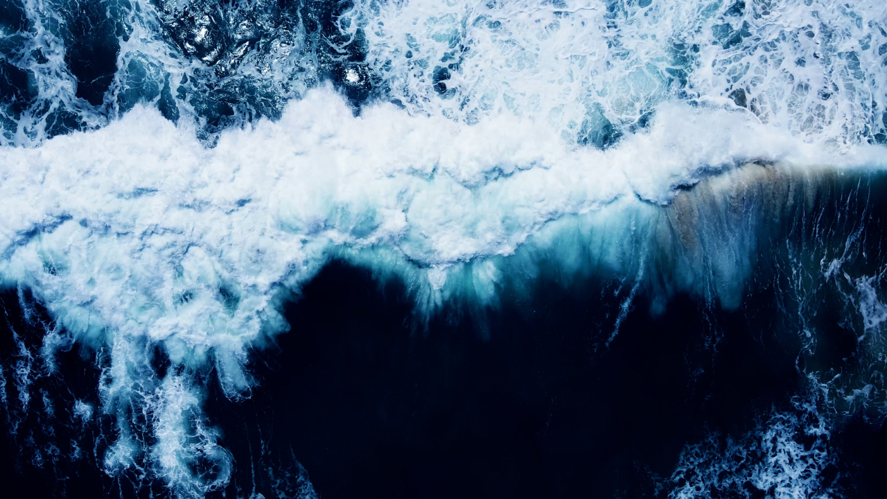 «Темные волны» окутывают океан мраком — что это за явление