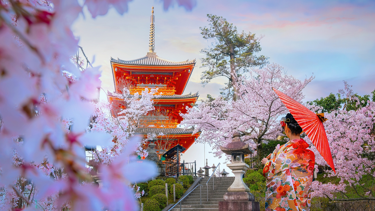 Сезон сакуры-2026 в Японии стартовал — с опережением графика