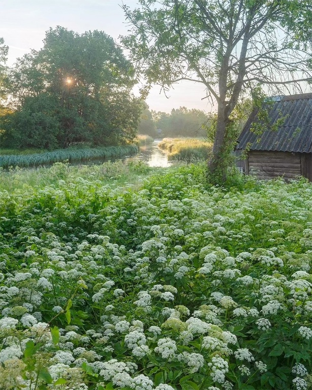 Краски июля