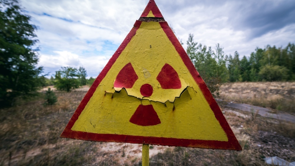 Грибы в Чернобыле развили необычную способность: почему радиация им не вредит