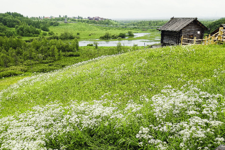 Двери в Арктику