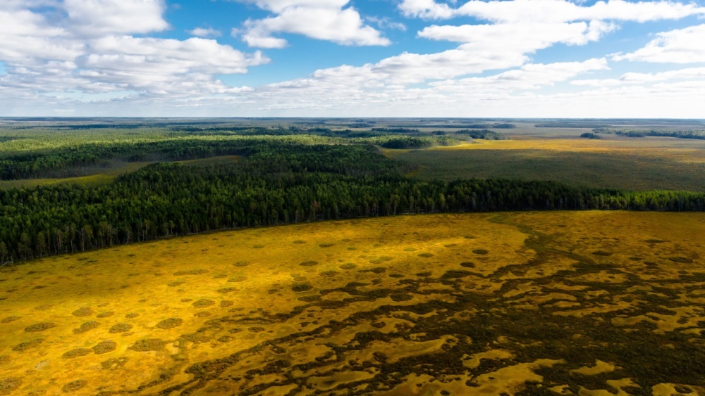5000-летнее святилище неизвестной культуры бронзового века нашли в Новосибирской области
