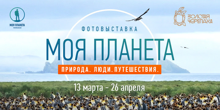  В Казани на фестивале дикой природы «Золотая черепаха» откроется фотовыставка телеканала «Моя Планета»