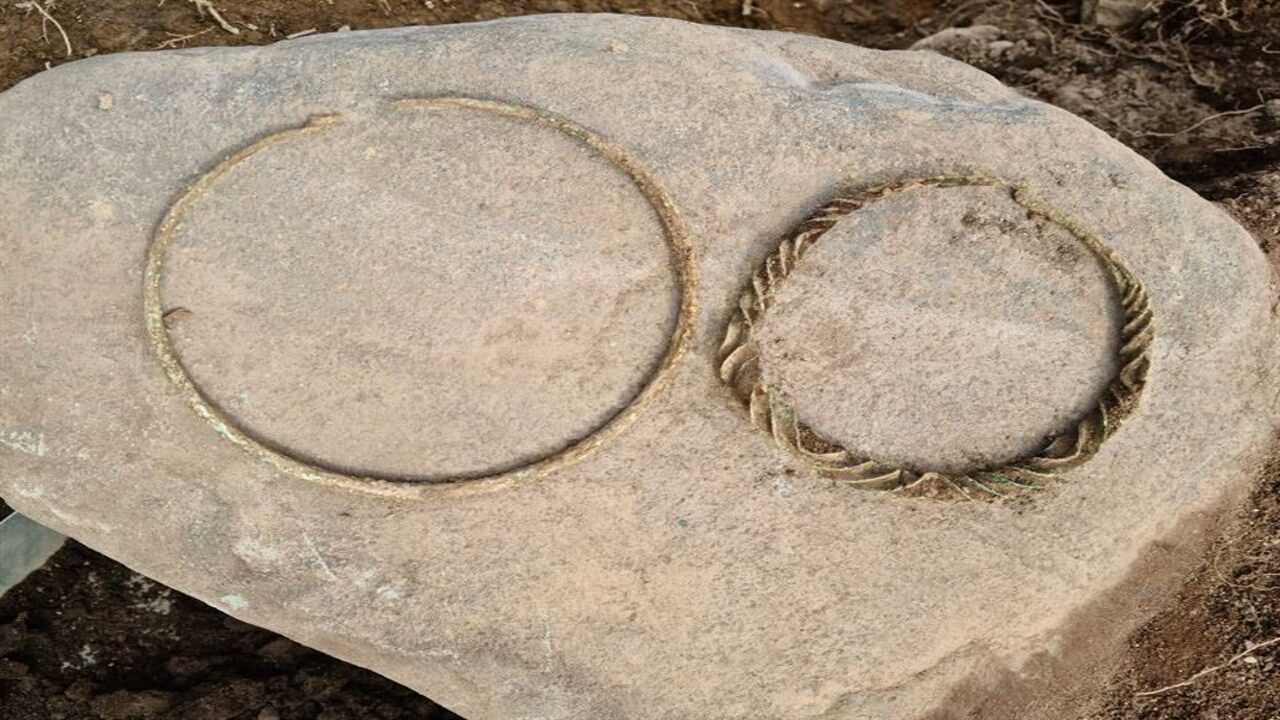 В шведской гробнице нашли бронзовые кольца возрастом 2500 лет 