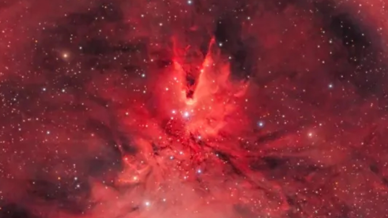 В космосе появилась гигантская «новогодняя елка»