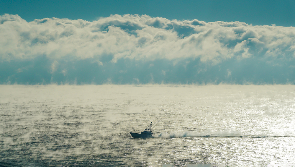 Система океанических течений в Атлантике ведет себя странно — возможно, она на грани коллапса