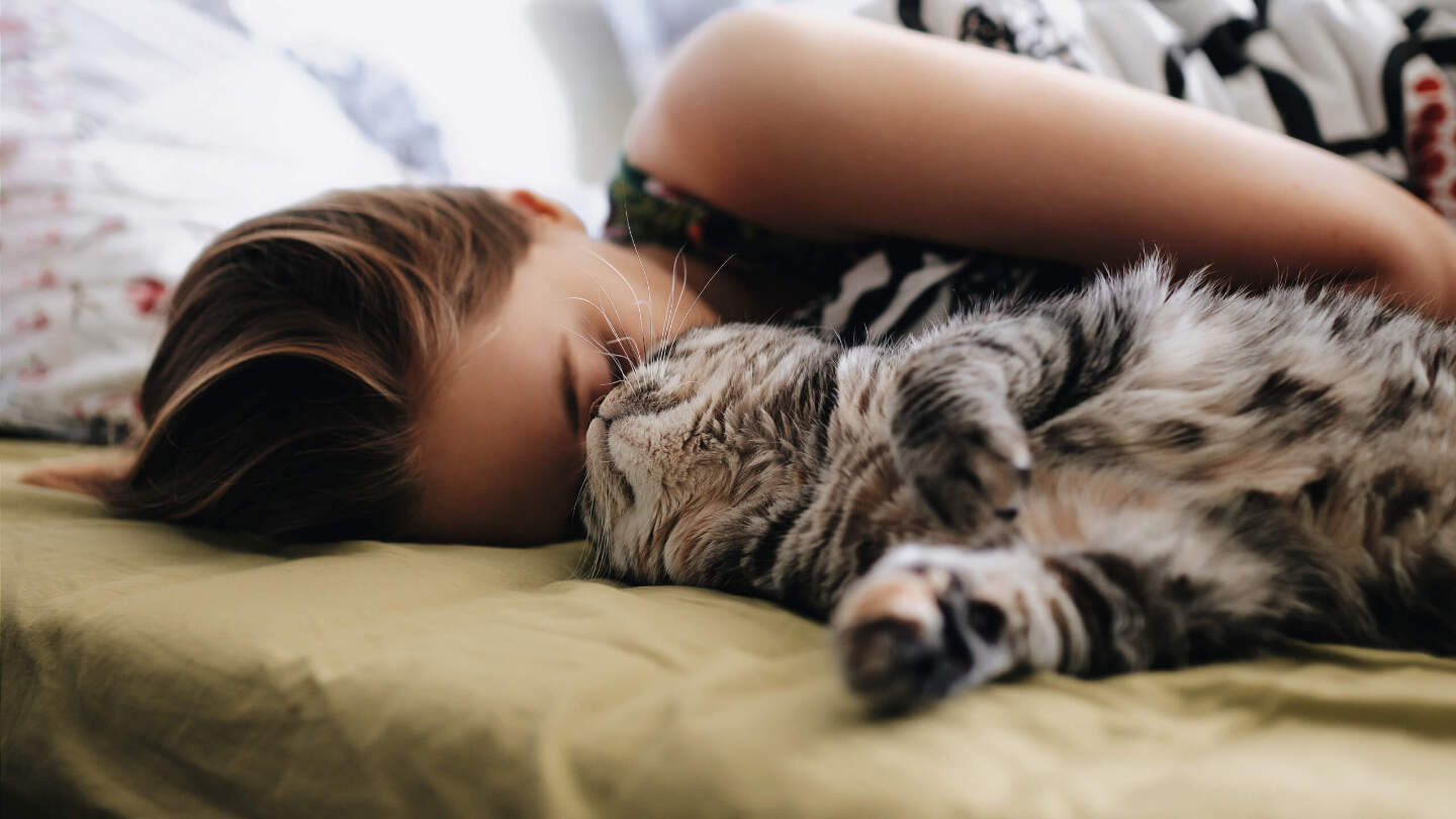 Послеобеденный сон