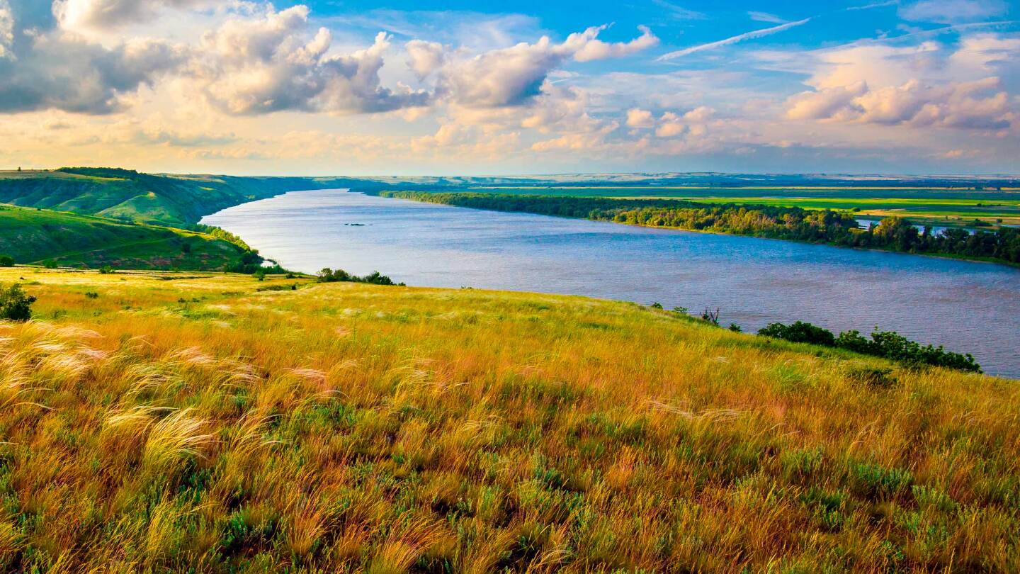 Притоки Дона