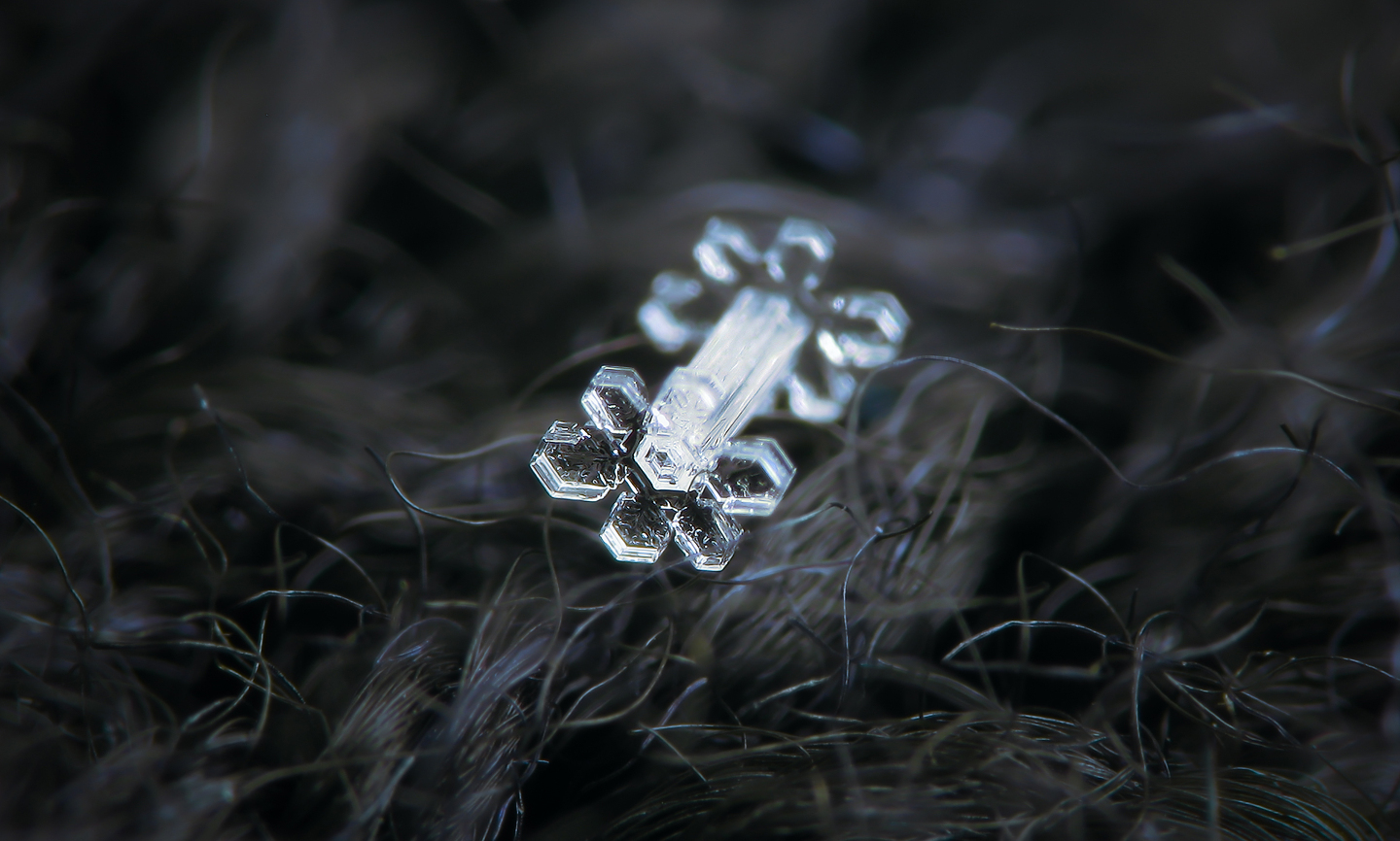 Низкая влажность приводит к образованию простых призм и пластинок