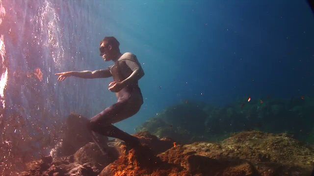 Лучшее подводное видео 2014 года