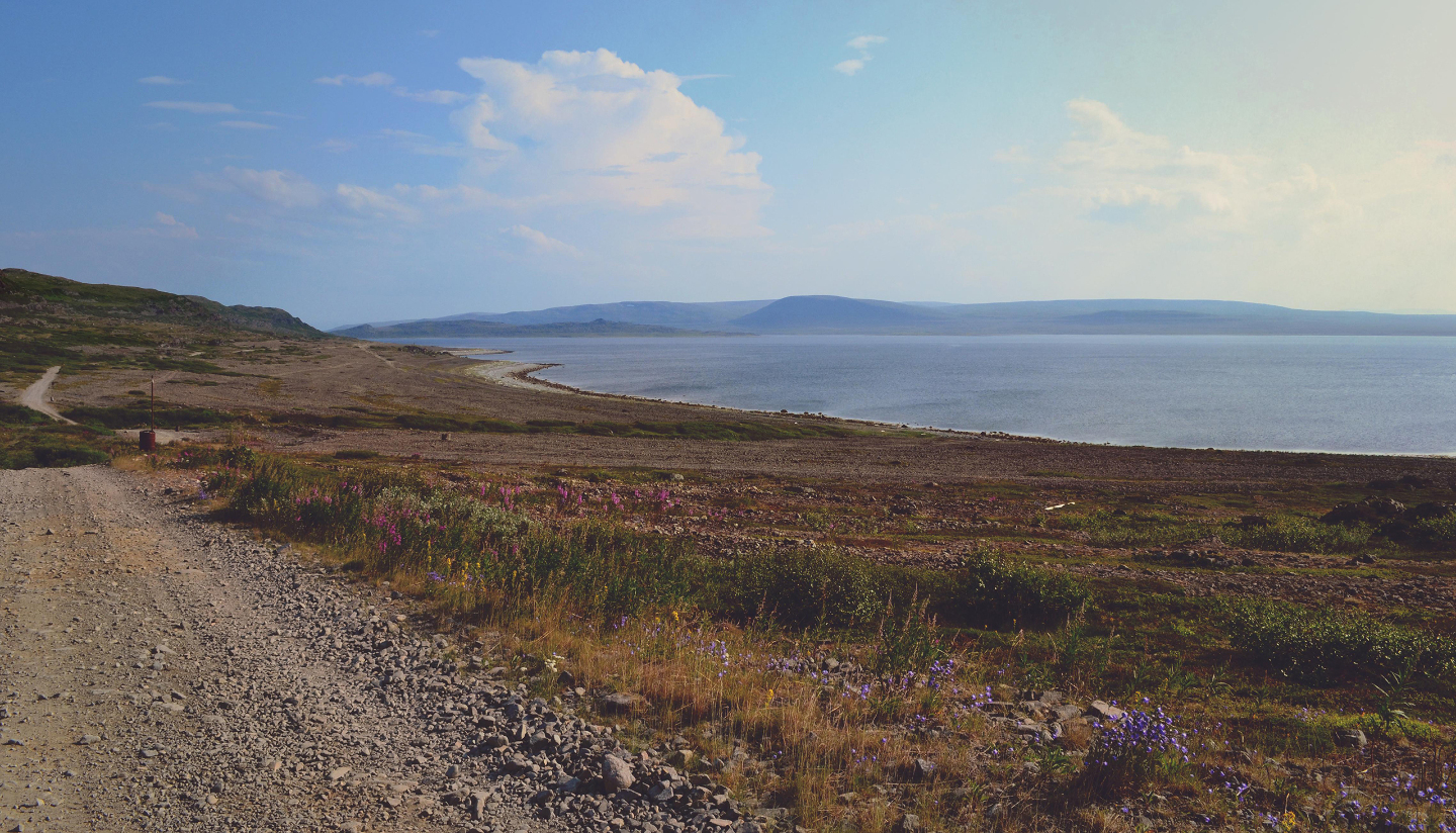 Большая Волоковая