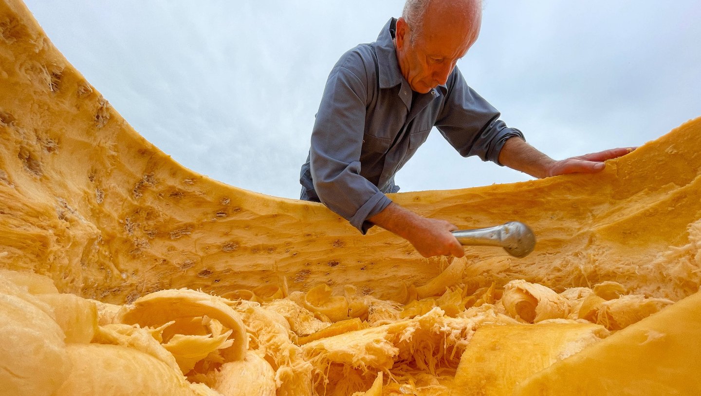 какая тыква подходит