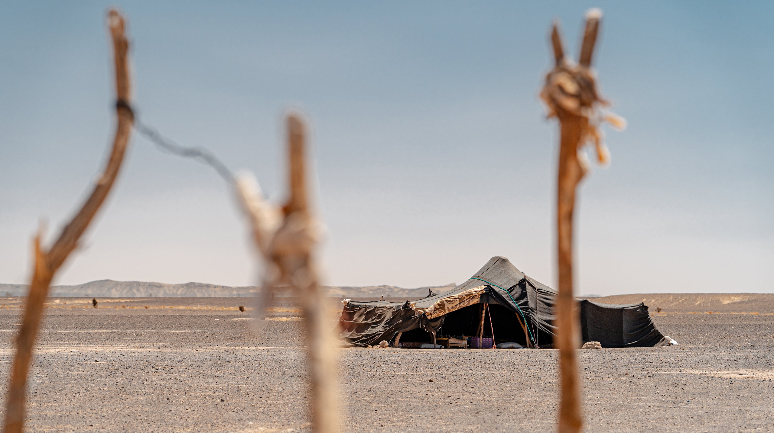 кто заселяет Бир-Тавиль