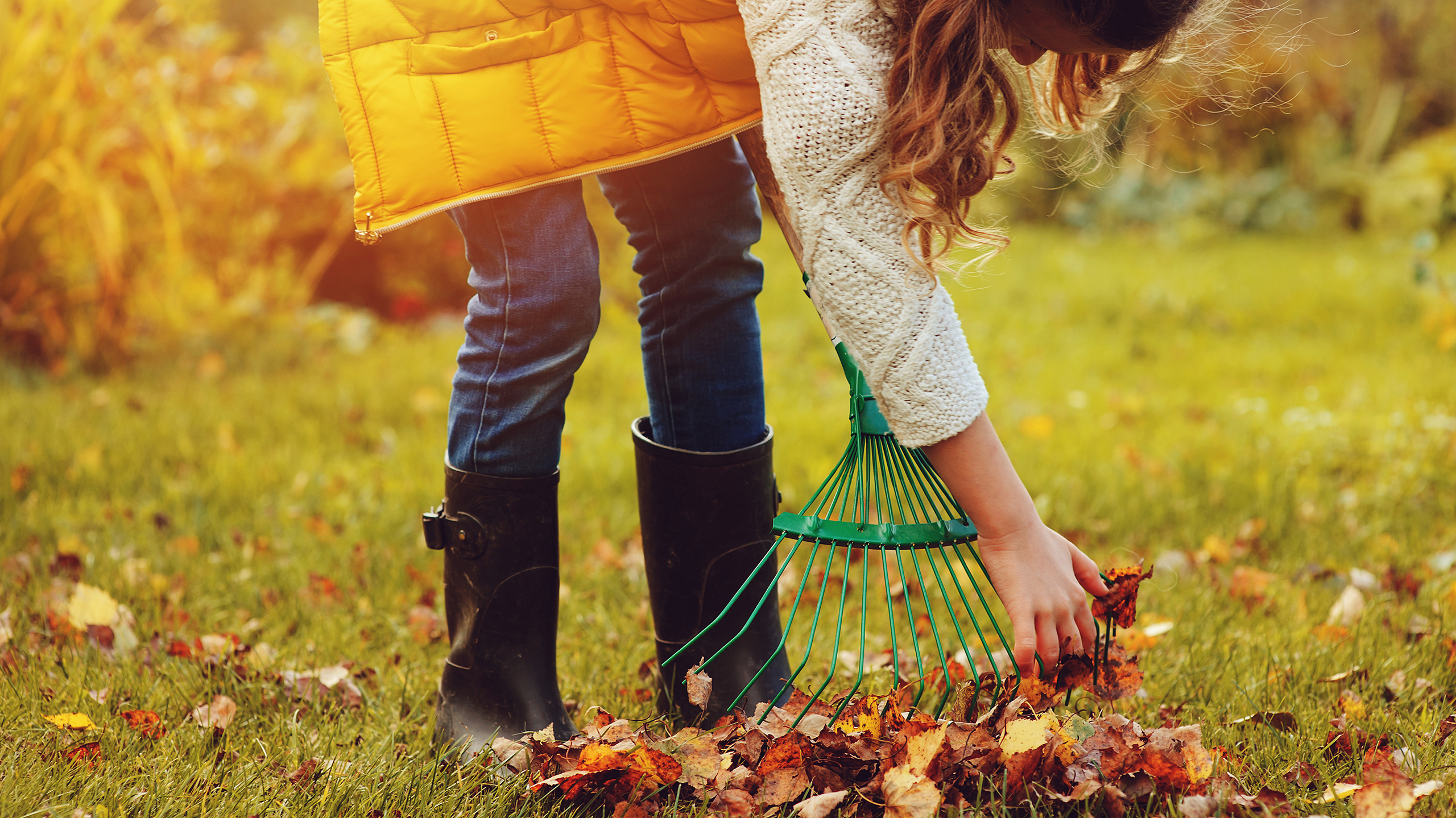 как правильно убирать листья