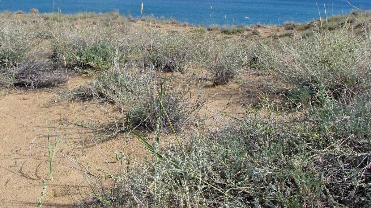 как часто находят в наши дни