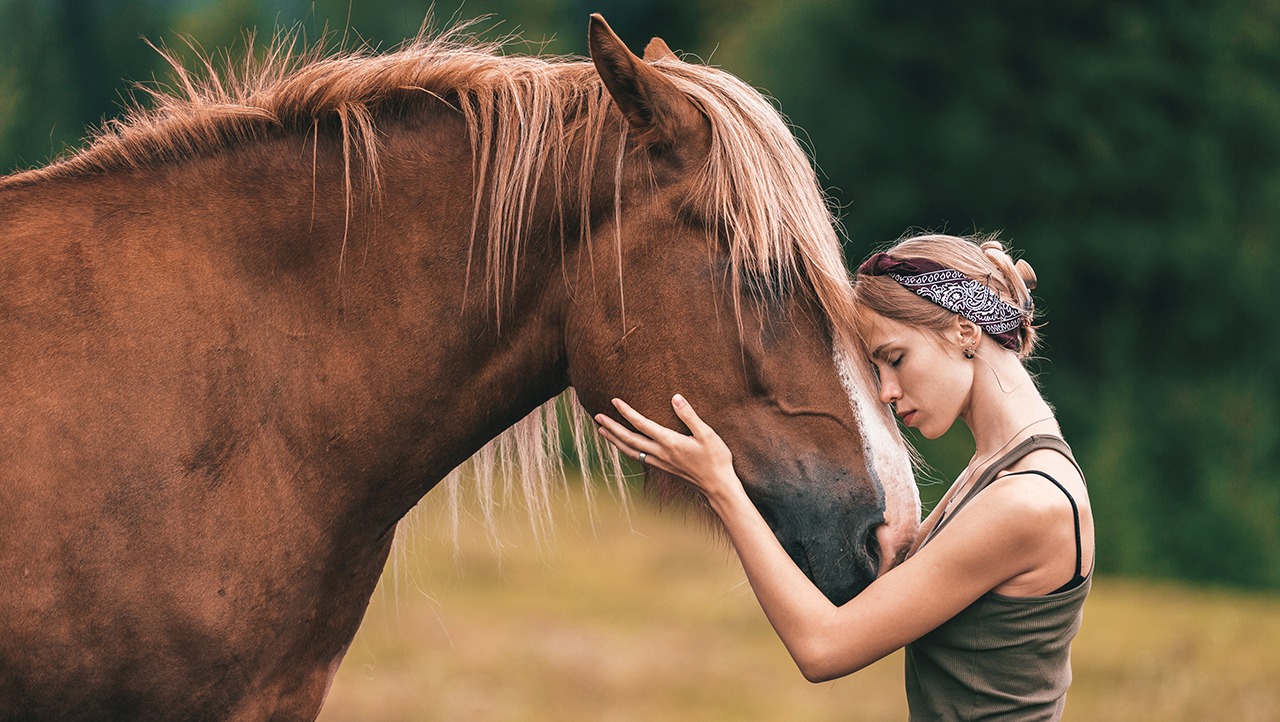 люди и лошади
