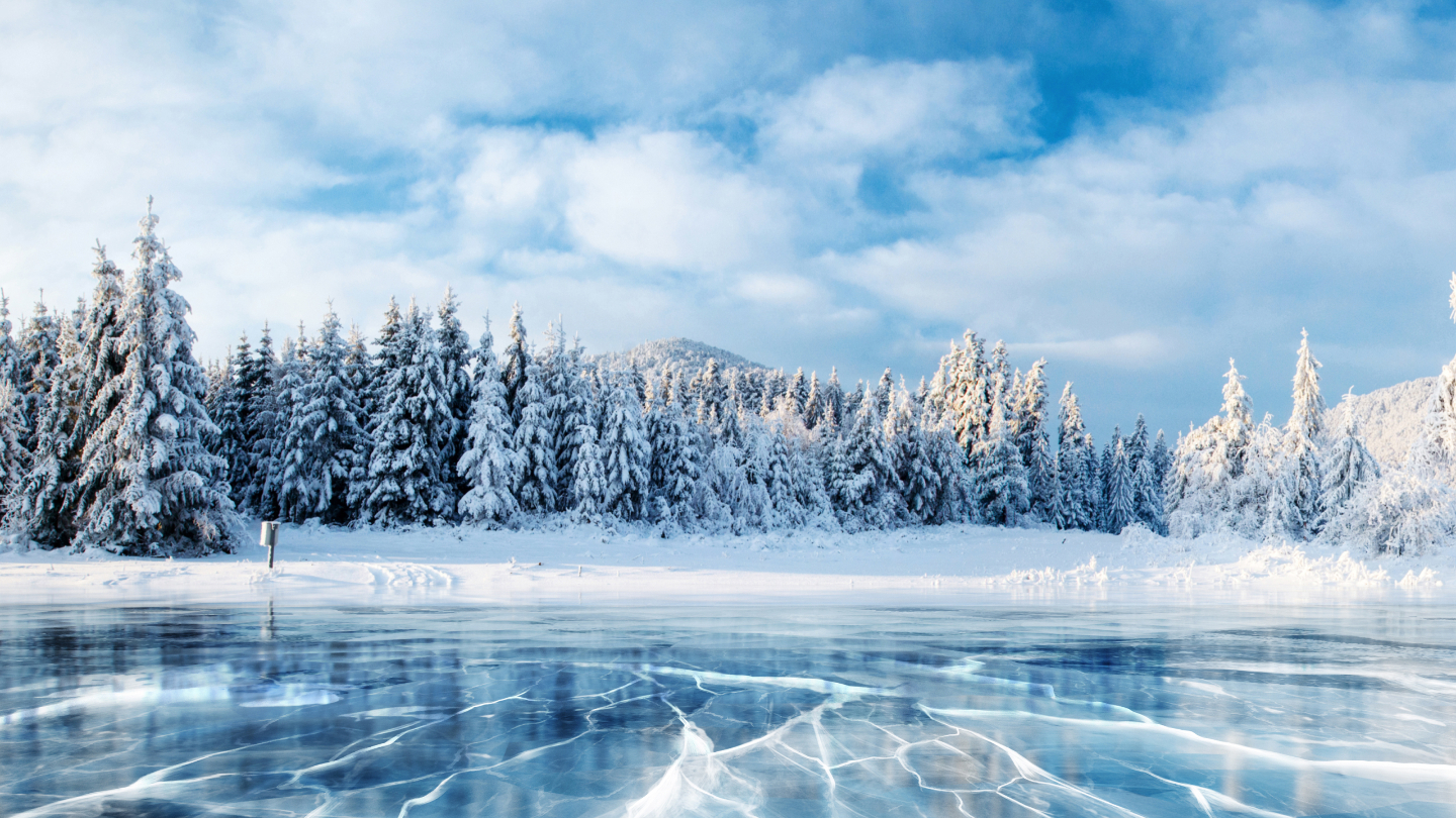 Ледниковый период