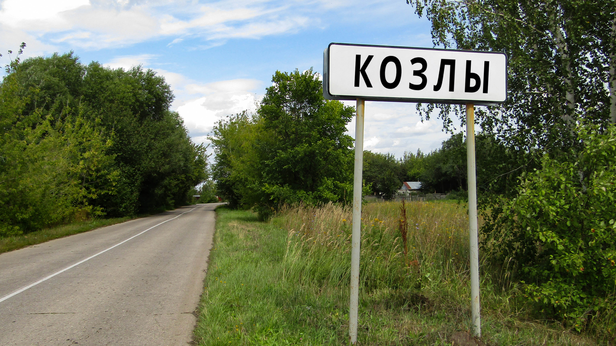 смешные названия 