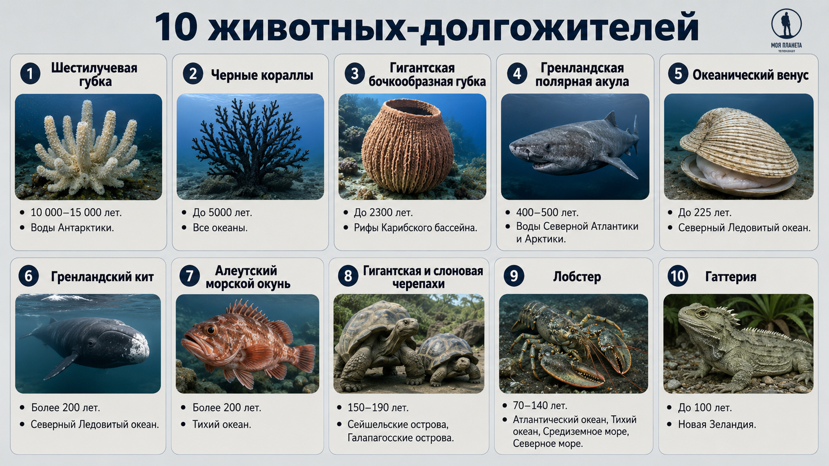 животные-долгожители