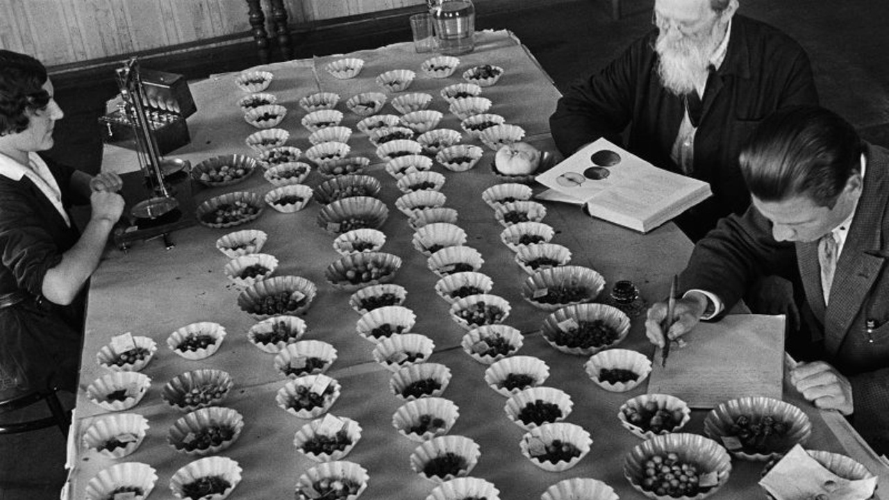 блокада ленинграда