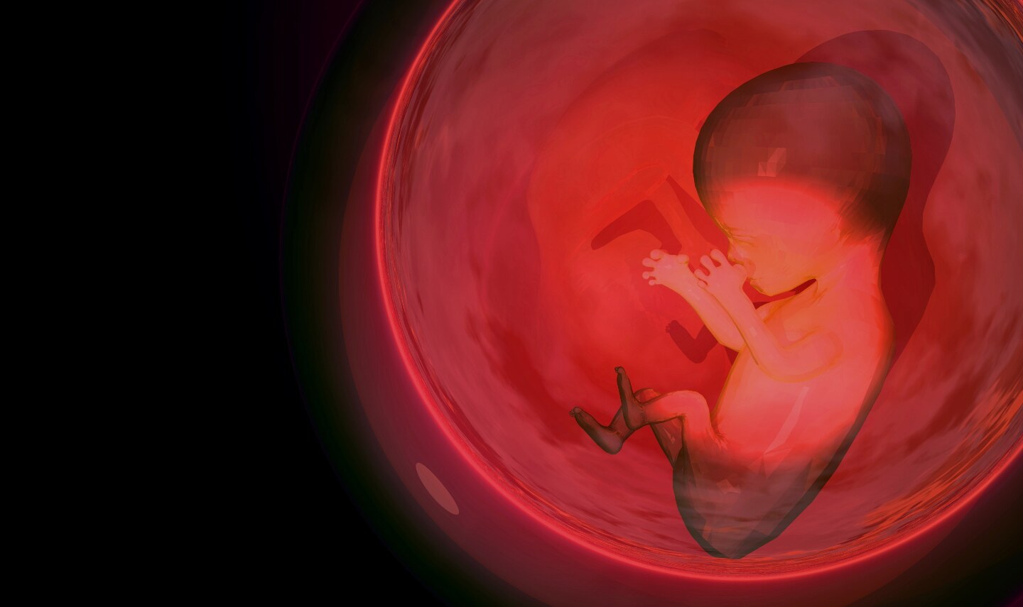 младенец в утробе