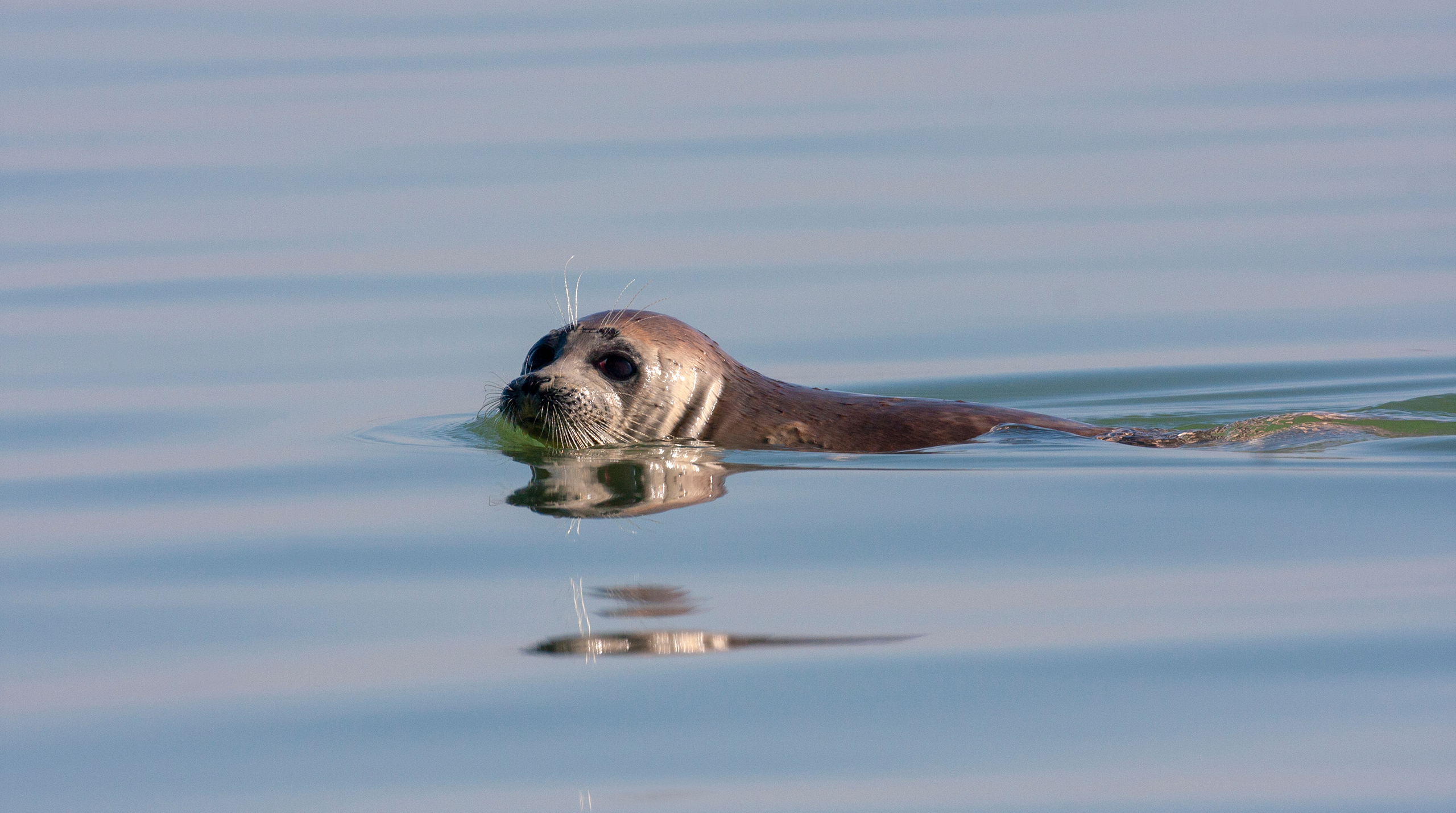 интересные факты