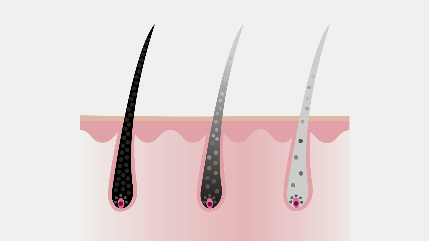 Откуда берется седина