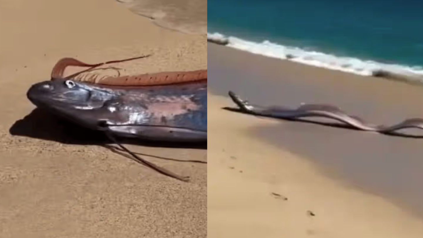 судный день 