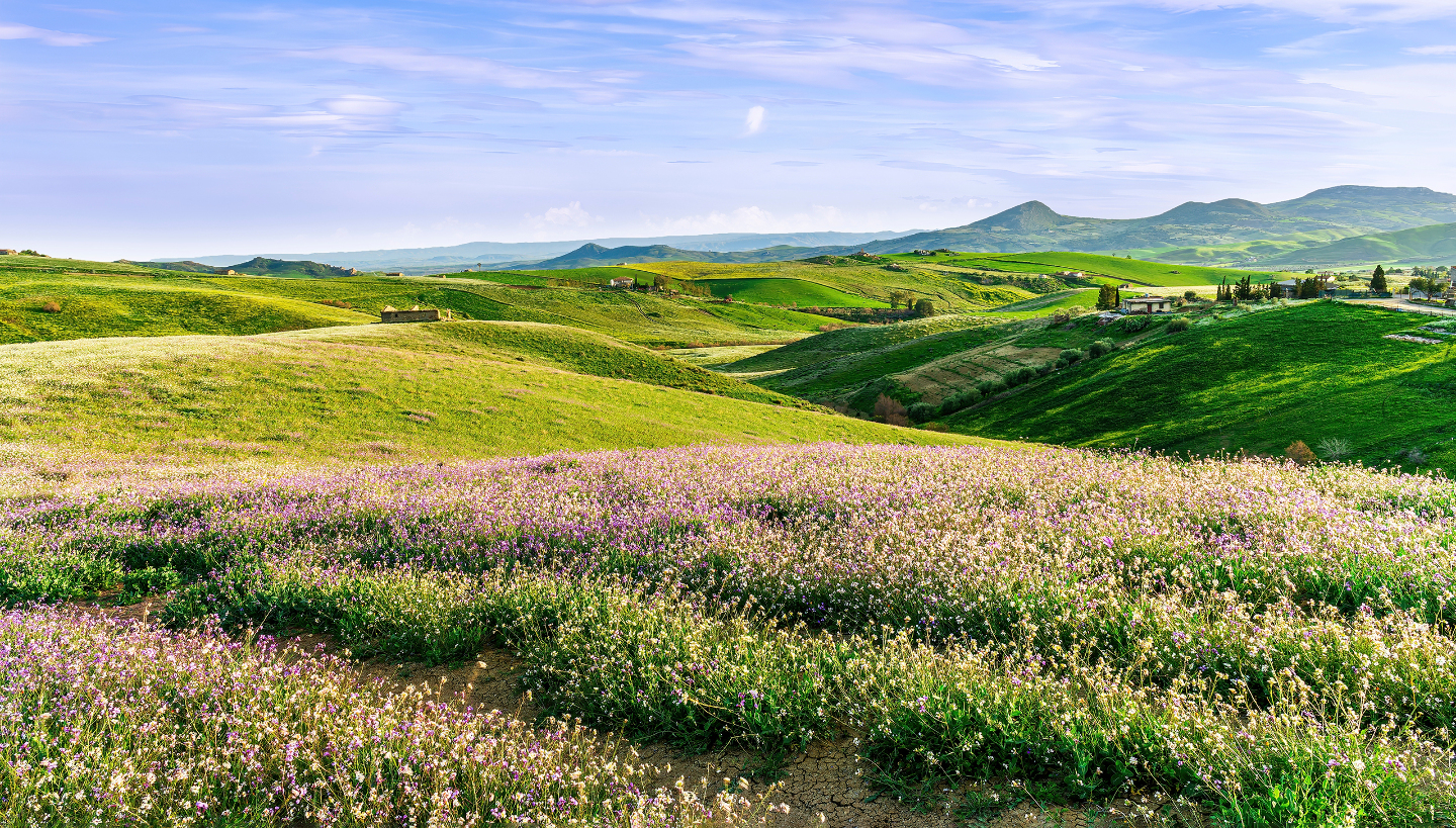 запахи земли