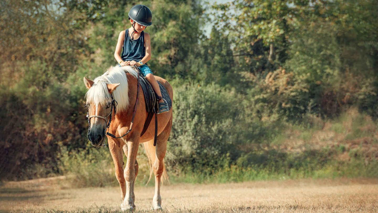 лошадиная терапия