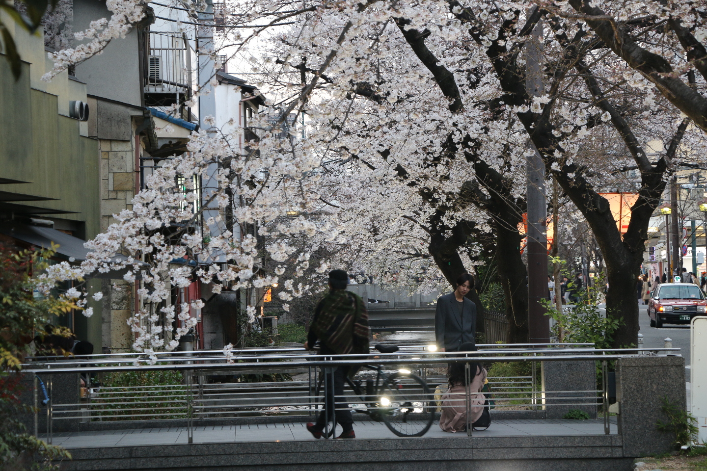 Ханами сегодня. Ханами. Ханнан Япония фото города. Ханами в Японии. First Hanami in Japan Painting.