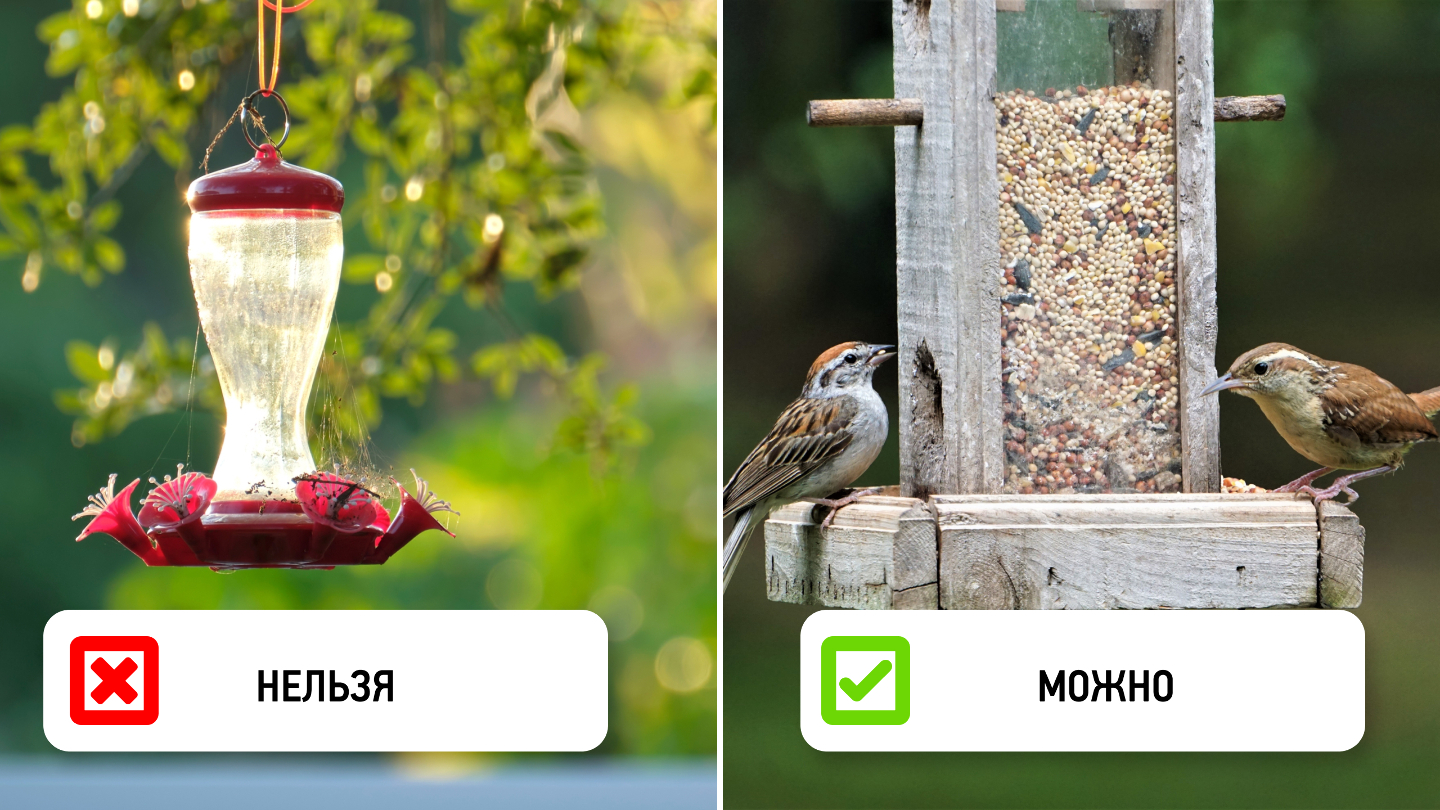 регулярность кормления