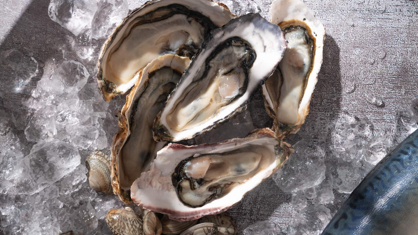 Как устрицы стали деликатесом