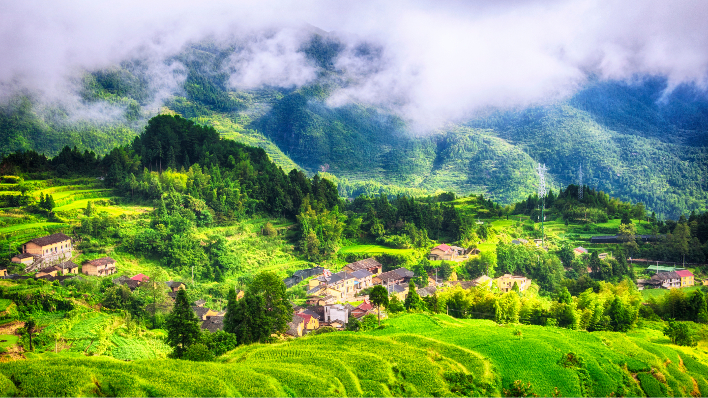 Рисовые террасы Юньхэ 