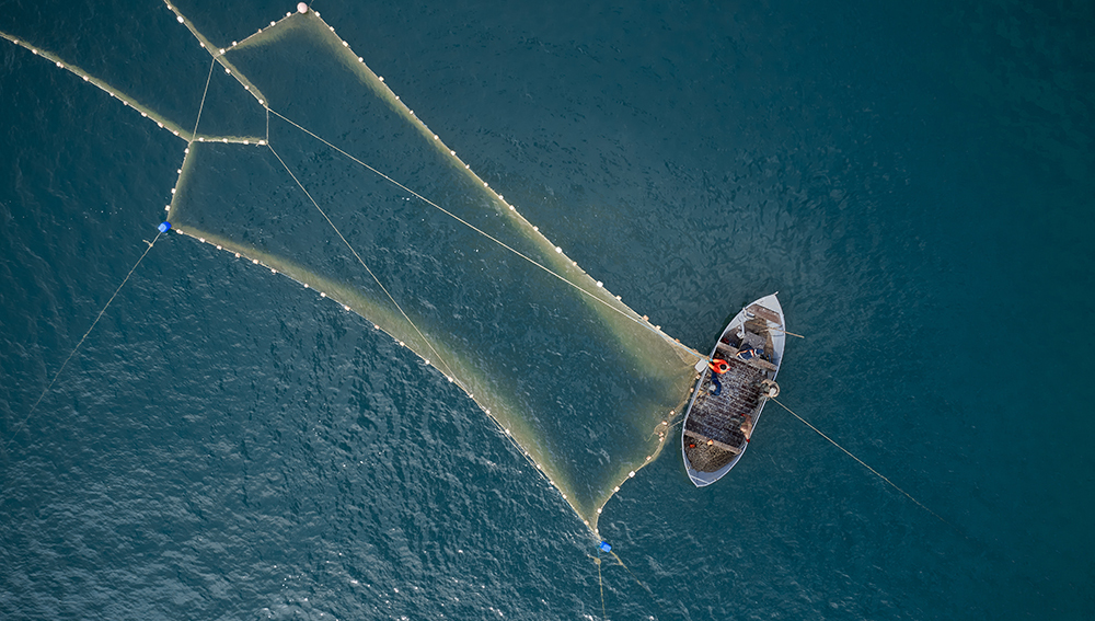 бамбуковая сеть