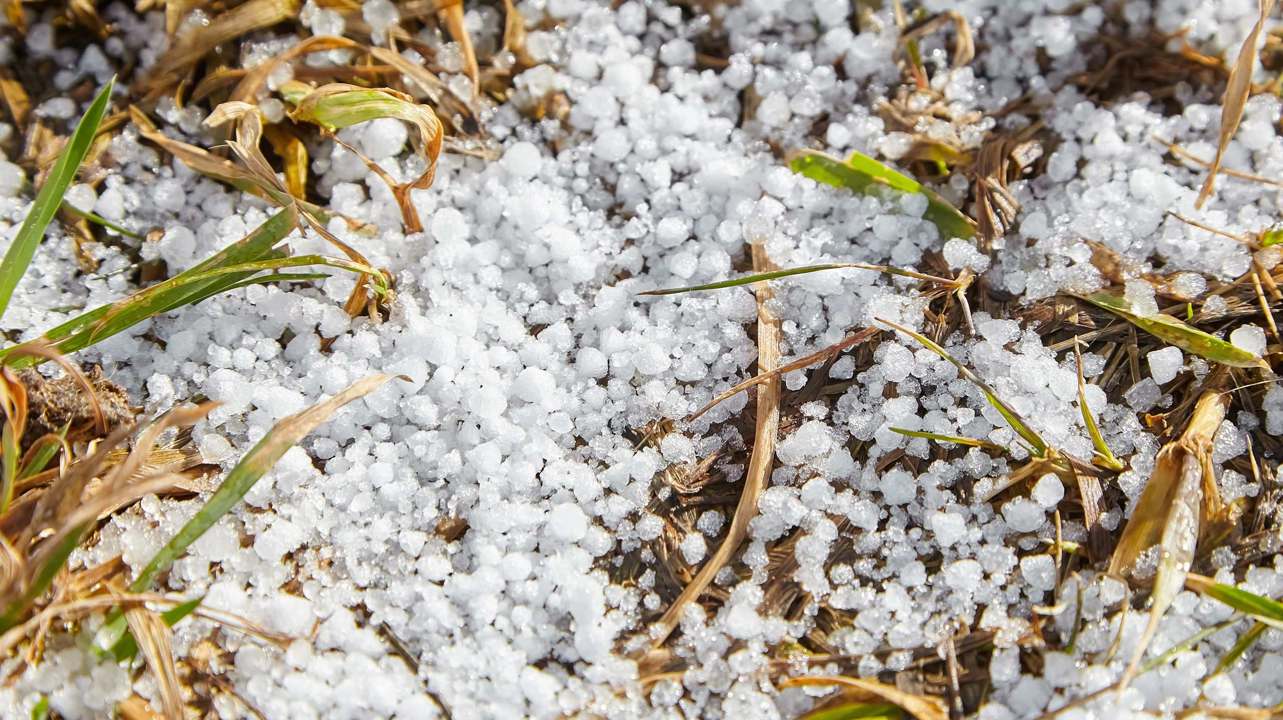 Ледяная крупа