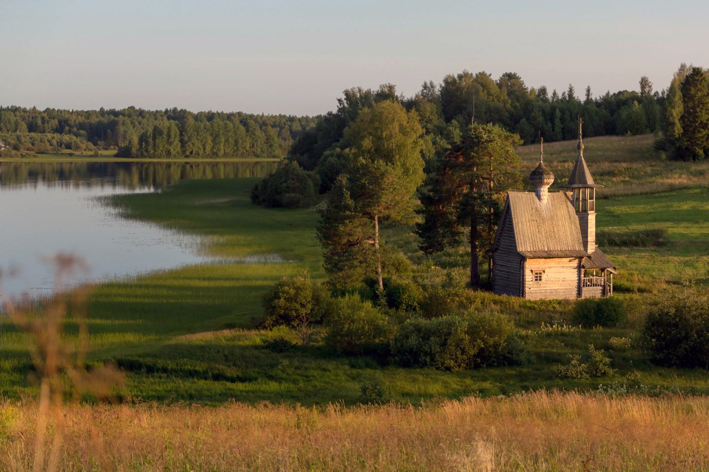 фото кенозерский парк