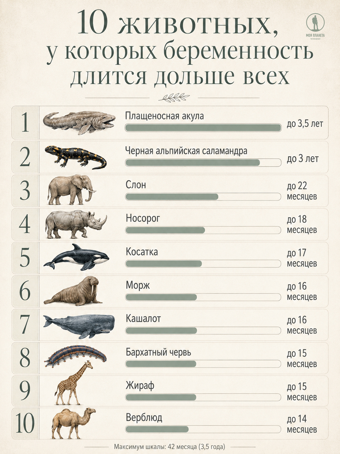 долгая беременность