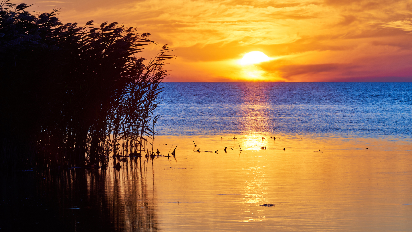 Река урал в Каспийское море впадает в Казахстане