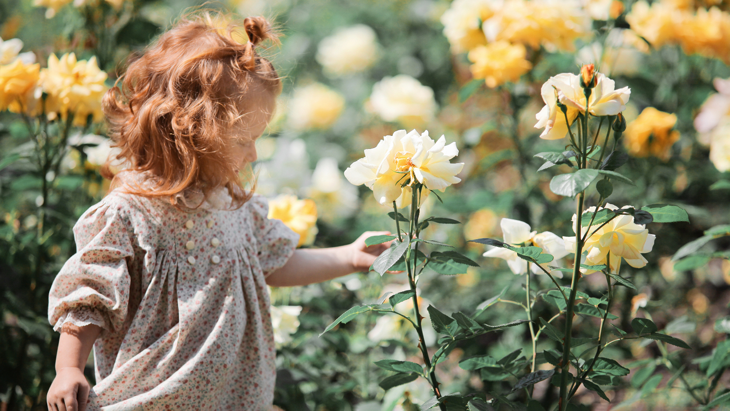 почему рыжих становится меньше