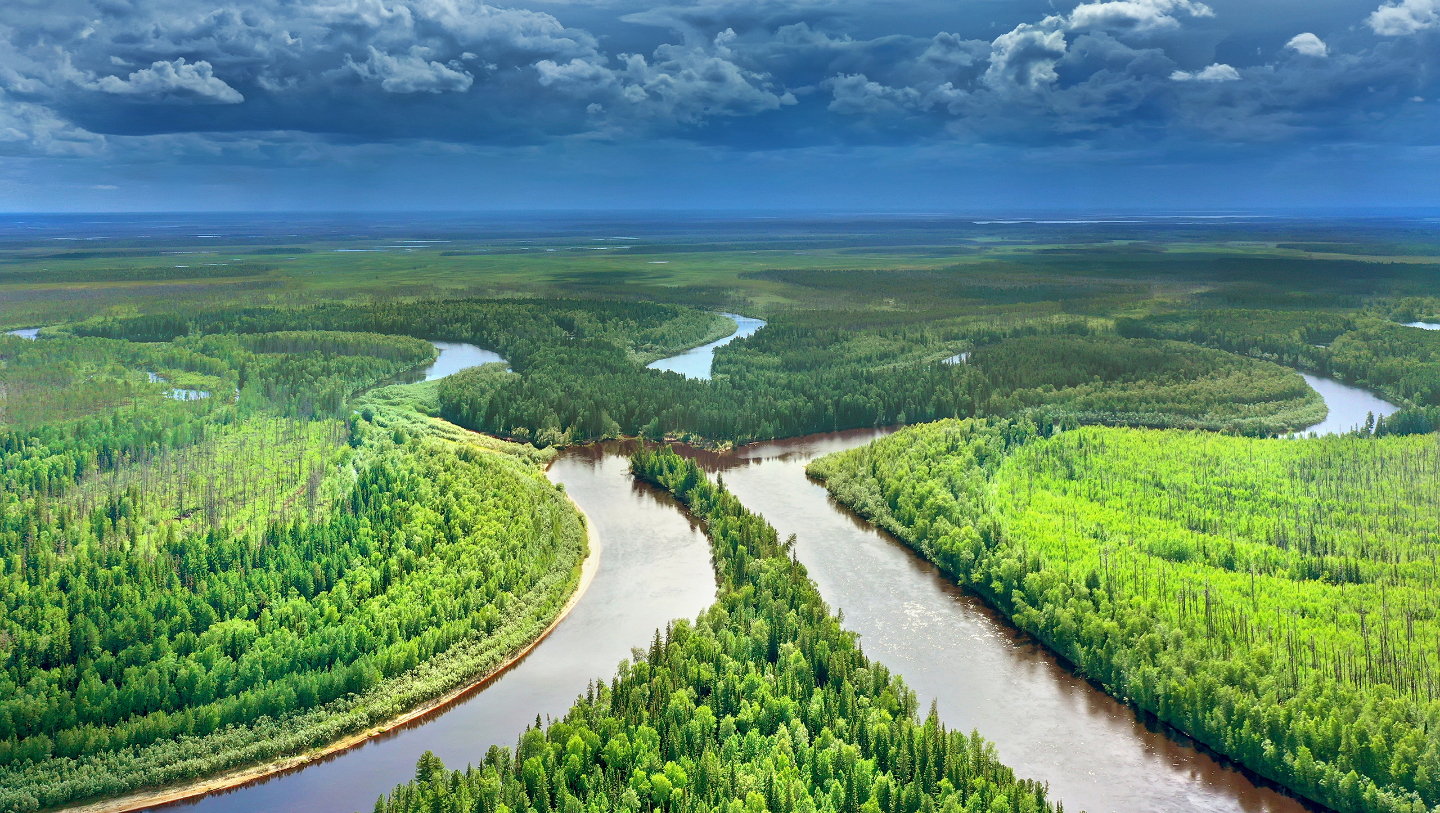 Характер течения