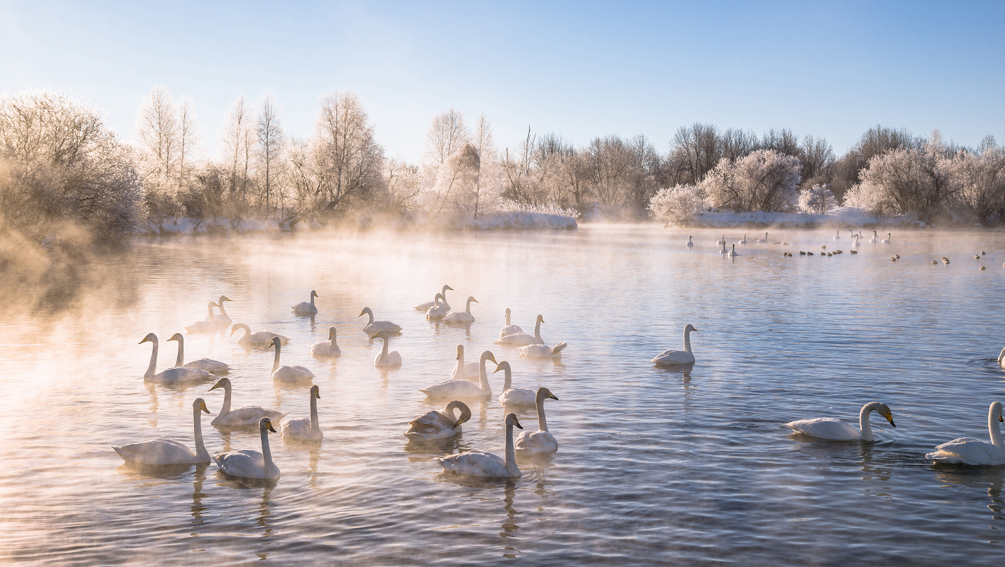 Озеро Светлое